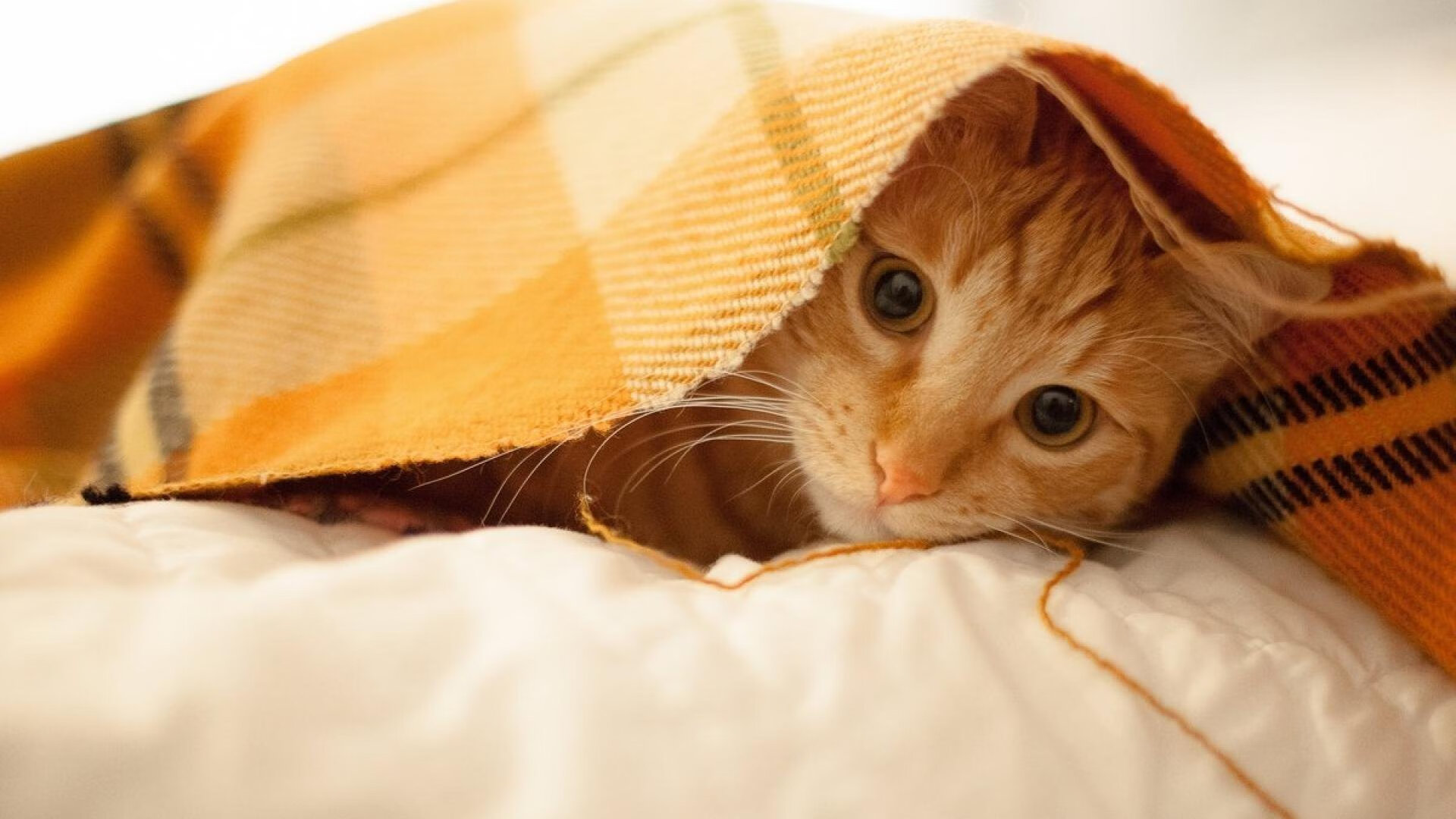 【运动健康】棒球运动如何保持身体状态,棒球怎么训练