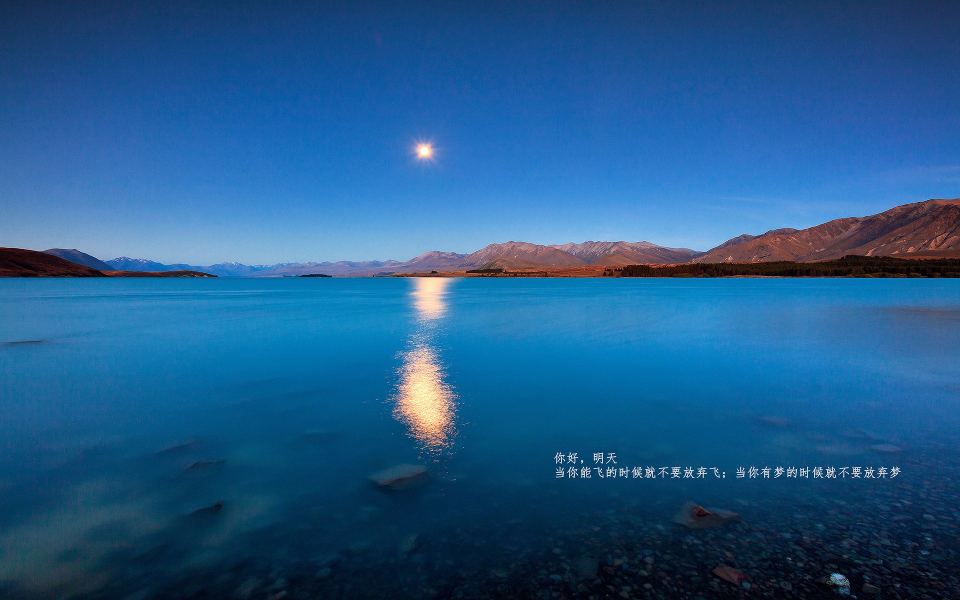 个人纪录:打破记录的超级表现瞬间,个人记录怎么写