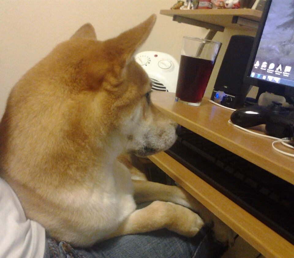 九游用户空间-亚历山大·萨尔在NBA常规赛中取得生涯新高，萨缪尔 亚历山大