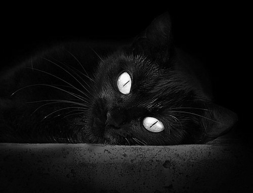 九游APP官网-云达不莱梅奋力追赶，战绩稳步提升，云达不莱梅vsrb莱比锡