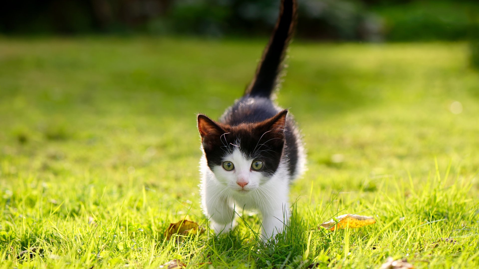 皇马逆转欧冠劲旅,晋级半决赛!,皇马逆转欧冠劲旅,晋级半决赛是哪一集
