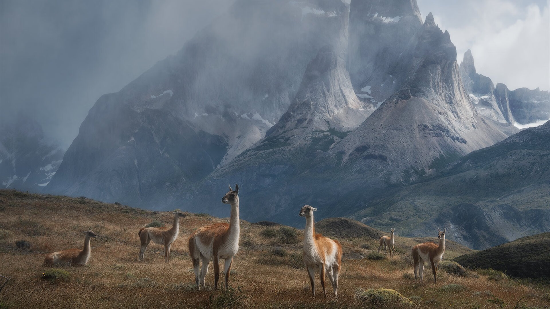 JiuyouAPP下载-篮球场馆安全设施升级保障运动员健康，篮球馆安全制度