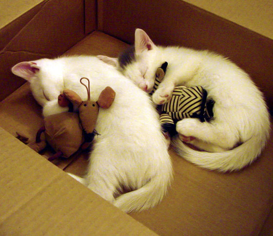 -詹姆斯关键绝杀！，詹姆斯全部绝杀