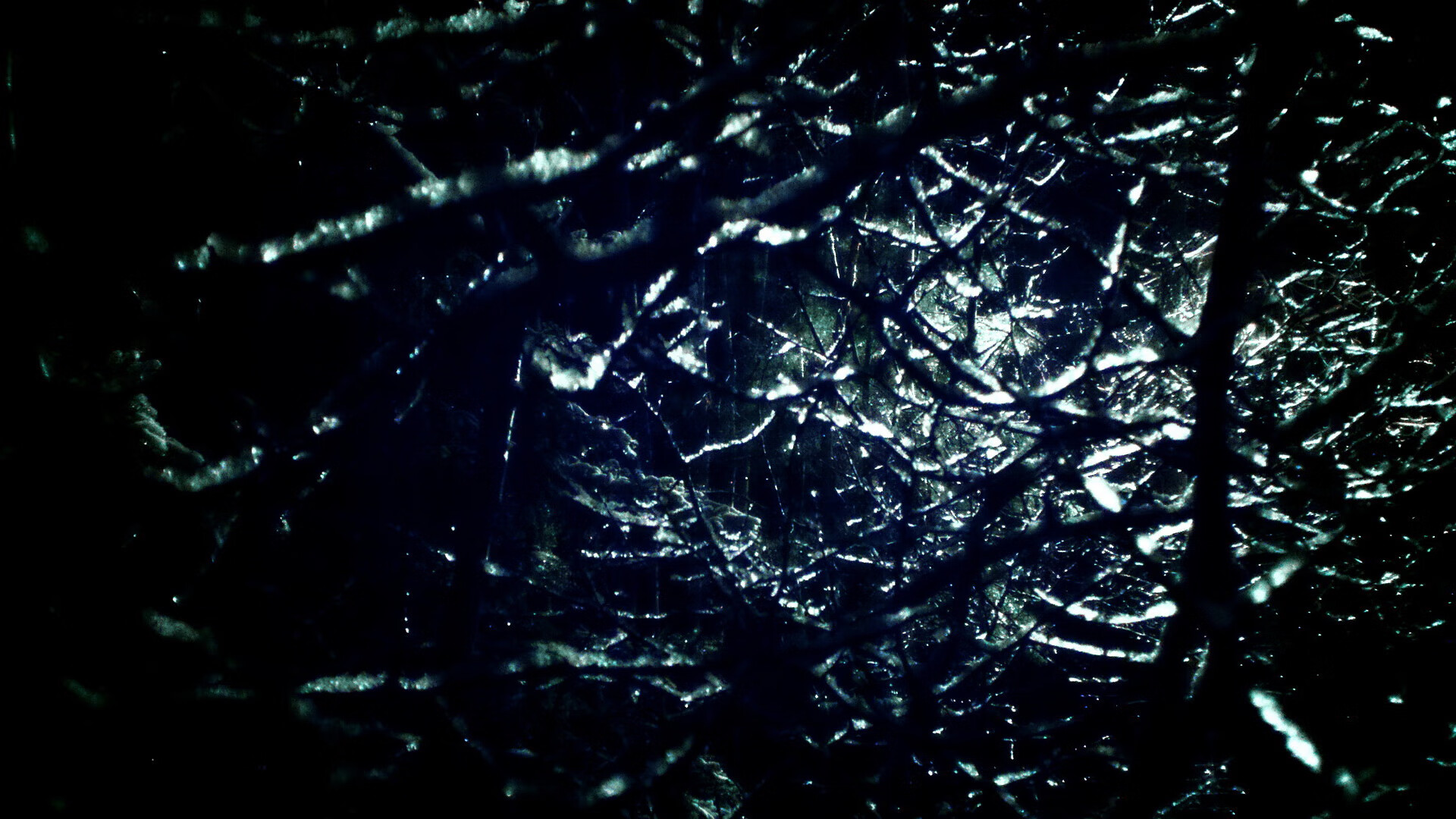 青少年裁判员“全面升级”培训体系在全国范围内快速落地,裁判培训班