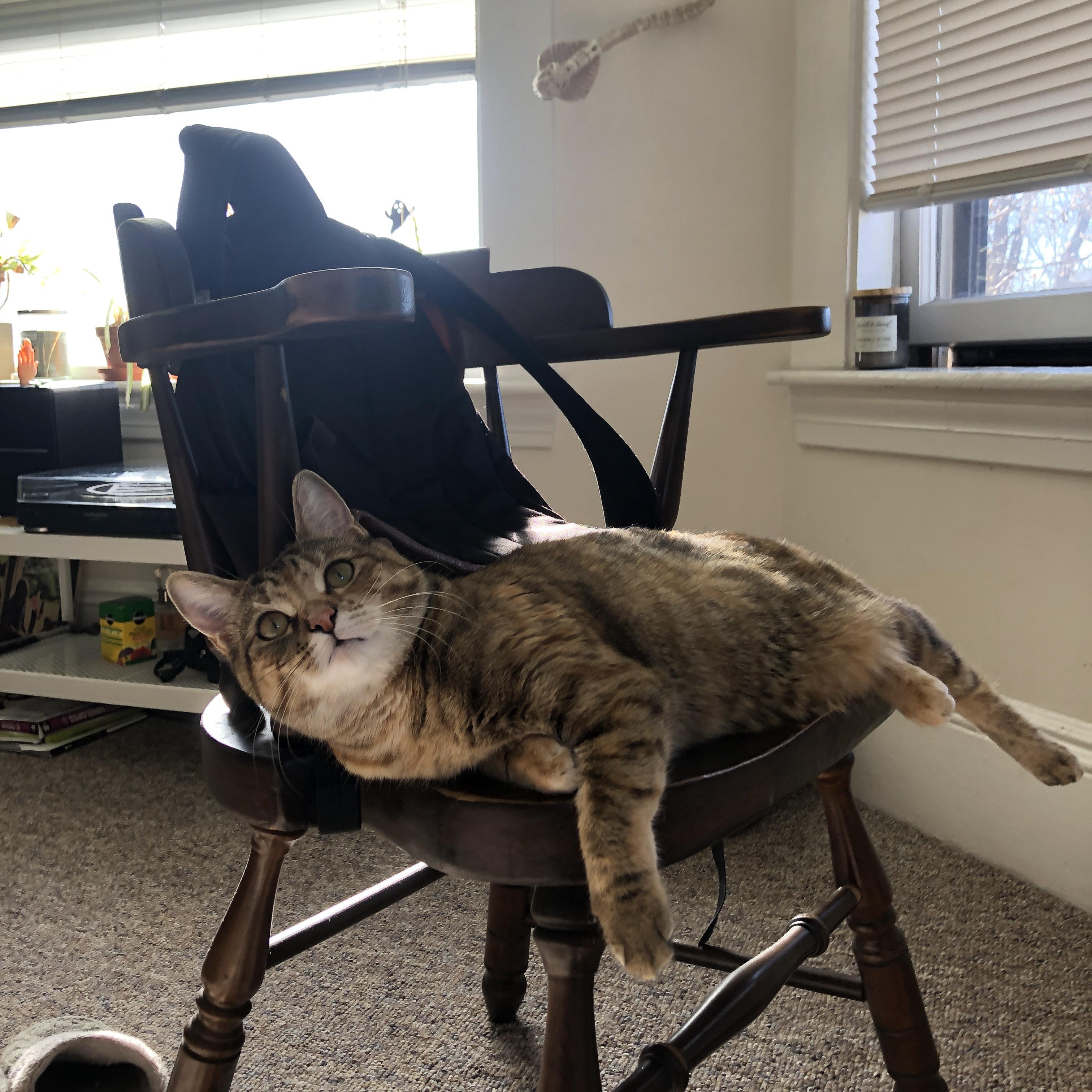 九游网游官网-切尔西女足新赛季目标制定，切尔西女足什么水平