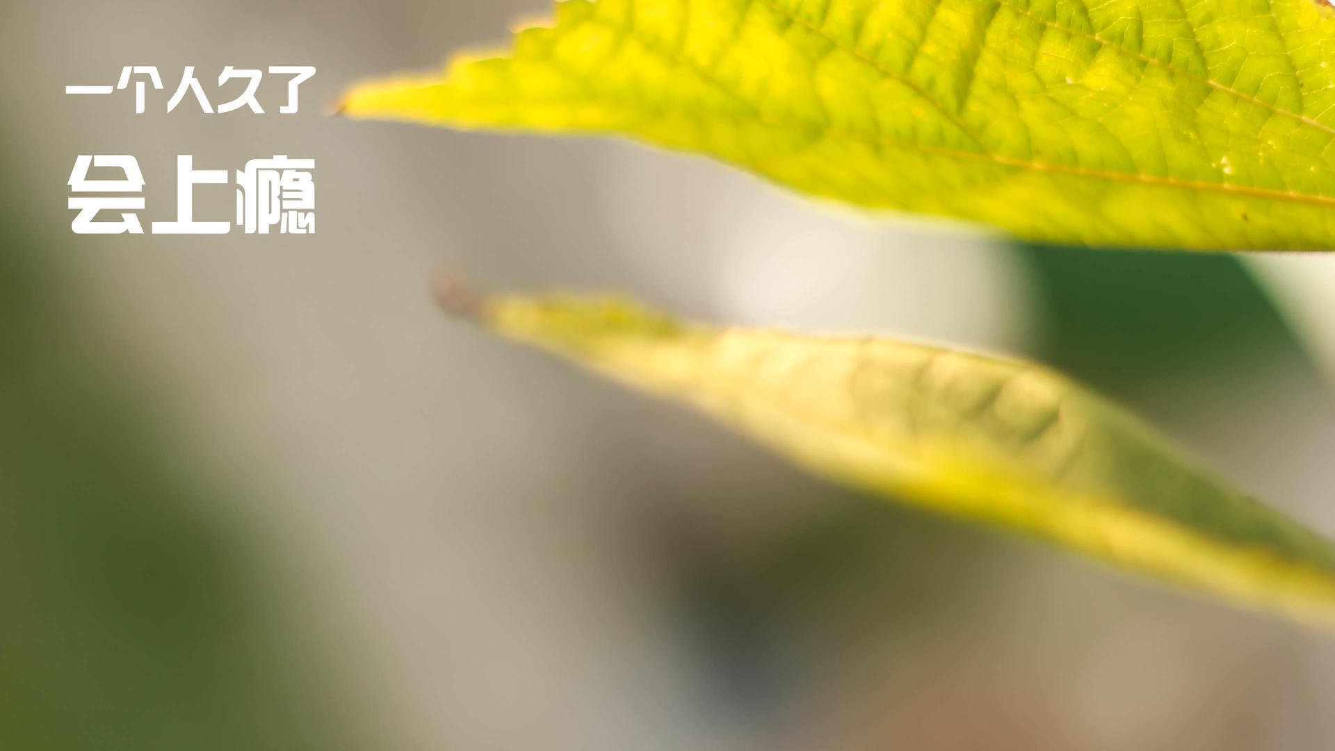 -巴达尔全场起航庆生，乔文图斯中场状态极佳，巴尔和乔