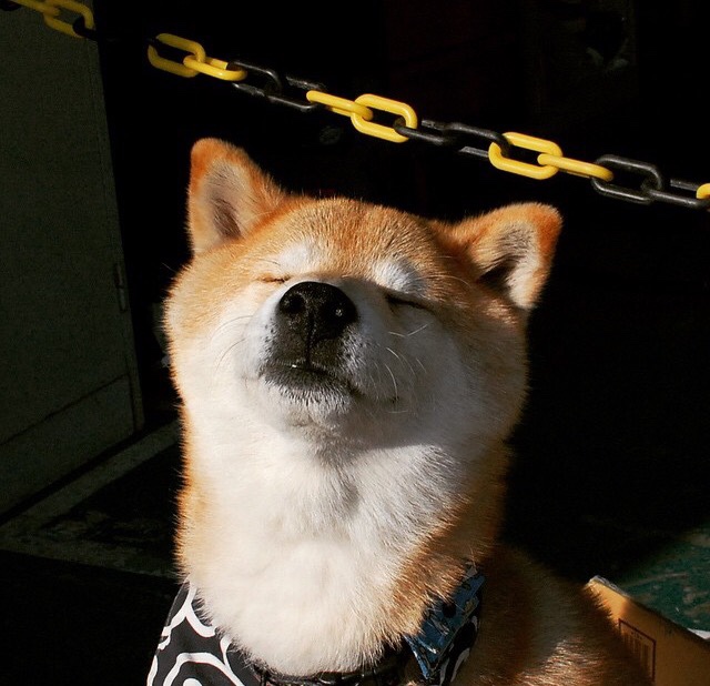 湖南男篮惜败广东,季后赛之路终结,湖南篮球联赛2021