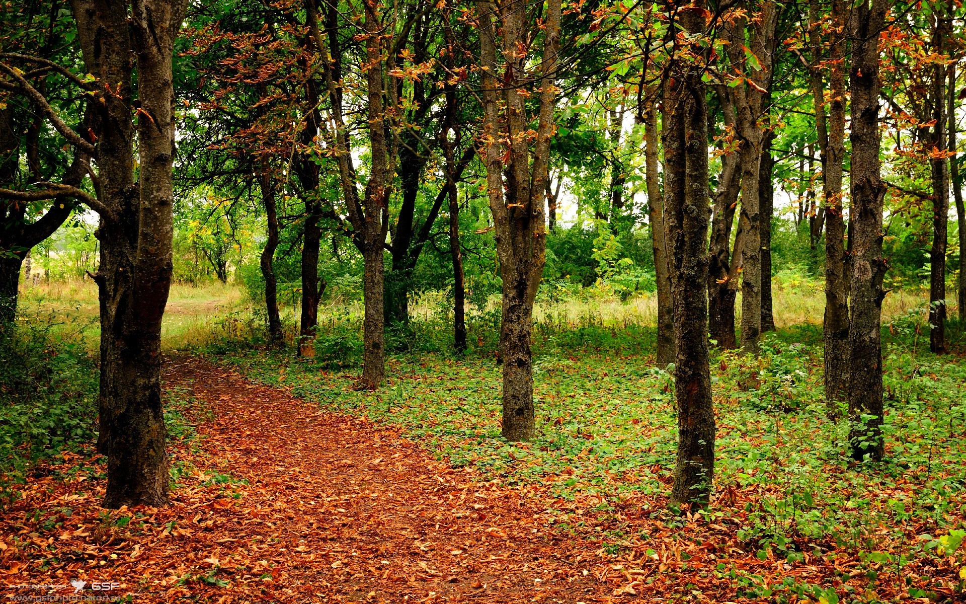 球员社交媒体影响力是否超越场上表现,篮球社交媒体