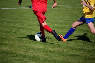 九游登录入口-NBA球员训练计划个性化设计，nba球员训练视频,篮球技术