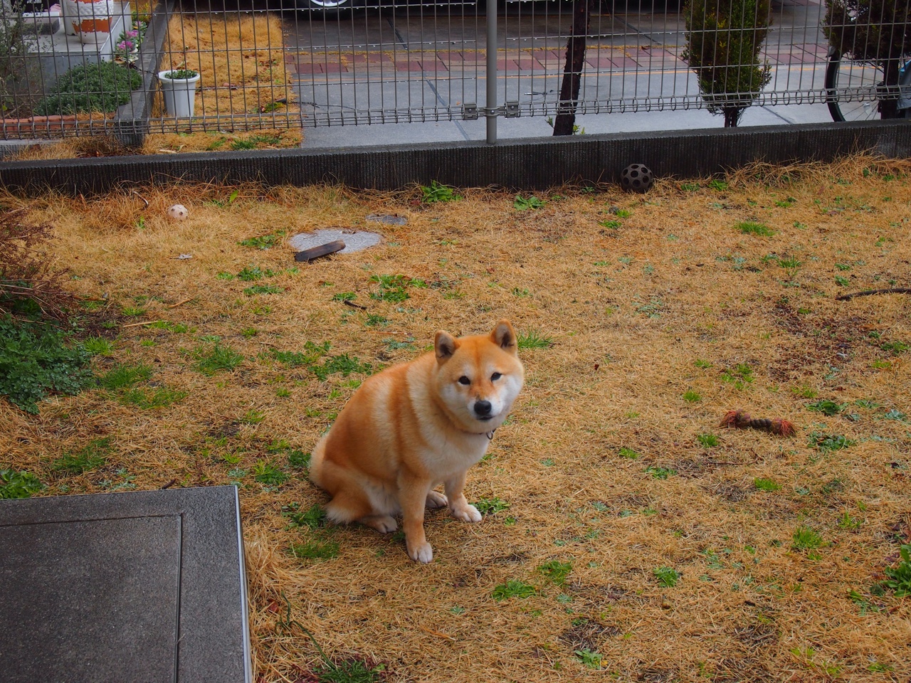 世界青少年轮滑表演大赛在北京精彩纷呈,青少年轮滑世界冠军