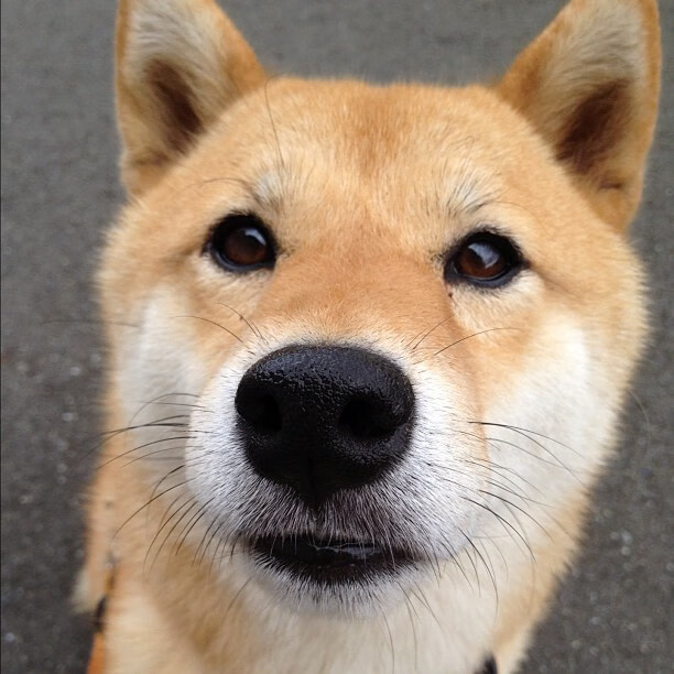 国足球员体能衰减与战术执行力下降关系,足球运动员体能差