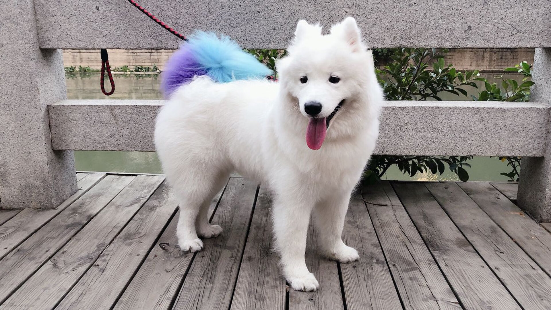 高校体育教师信息技术应用培训模式,高校体育教师信息技术应用培训模式有哪些