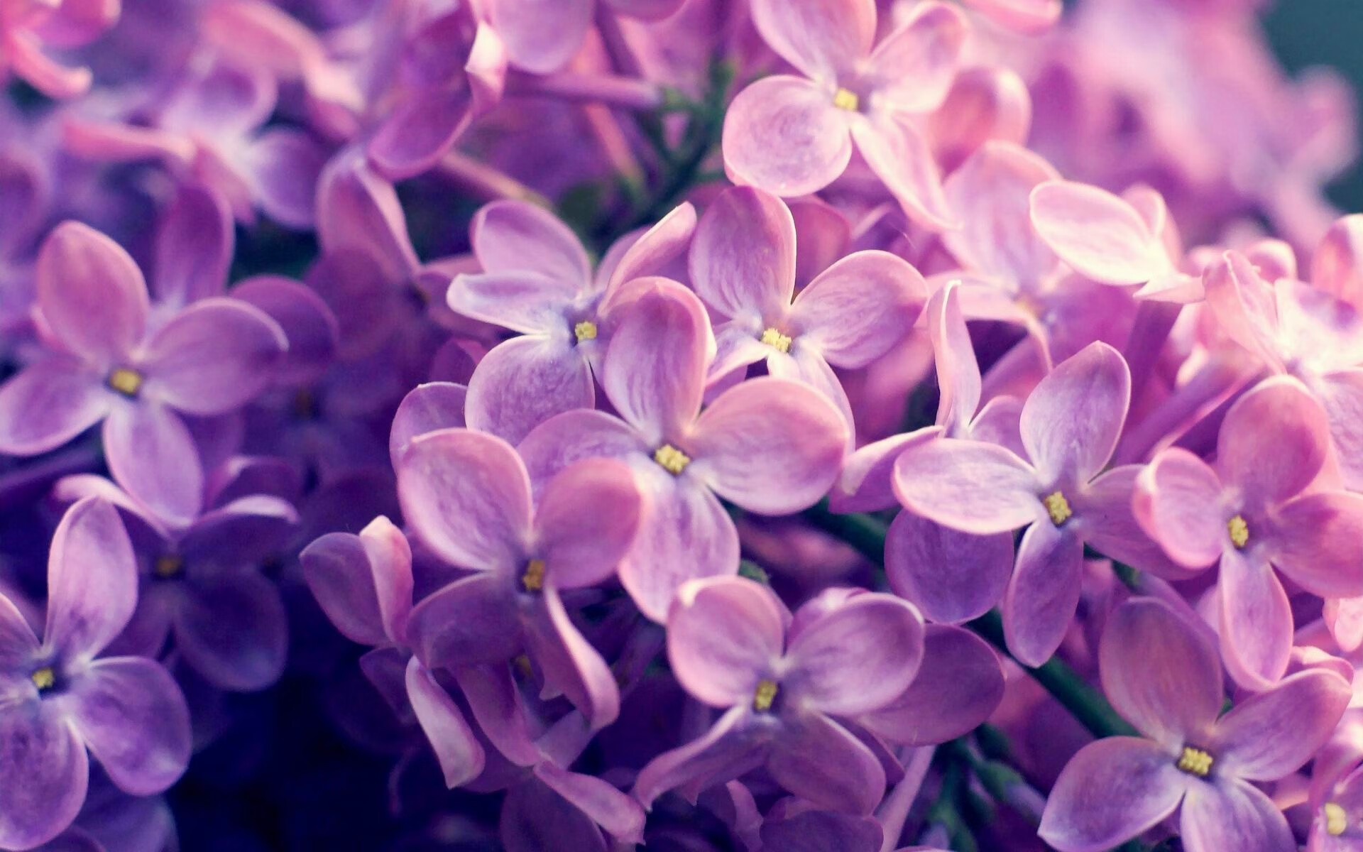 九游网页版官网-外援得分能力是否仍是球队保级的最大保障，外援得分能力是否仍是球队保级的最大保障