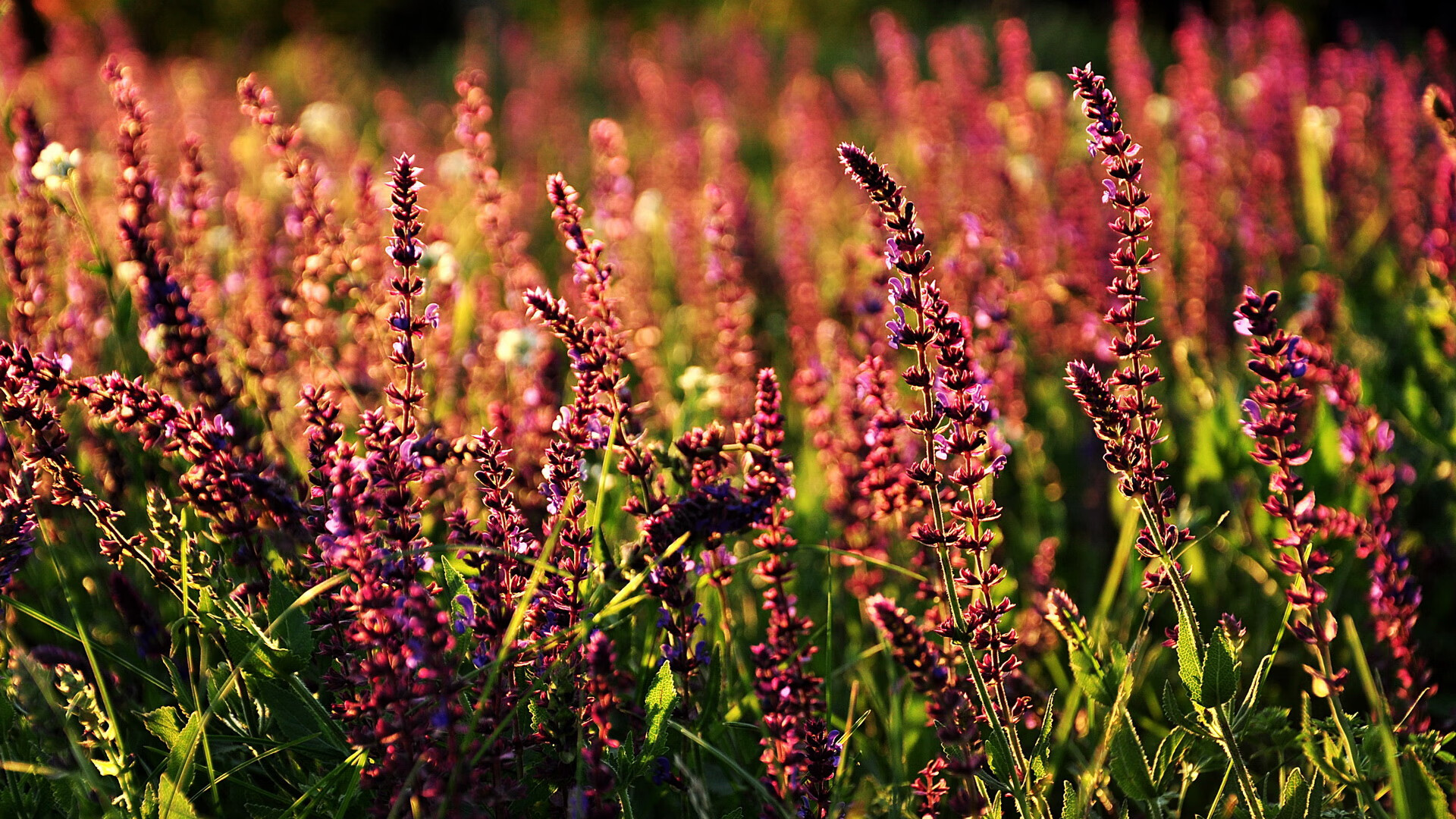 九游官网pc-C罗称保持进取是职业生涯最大武器，c罗领衔