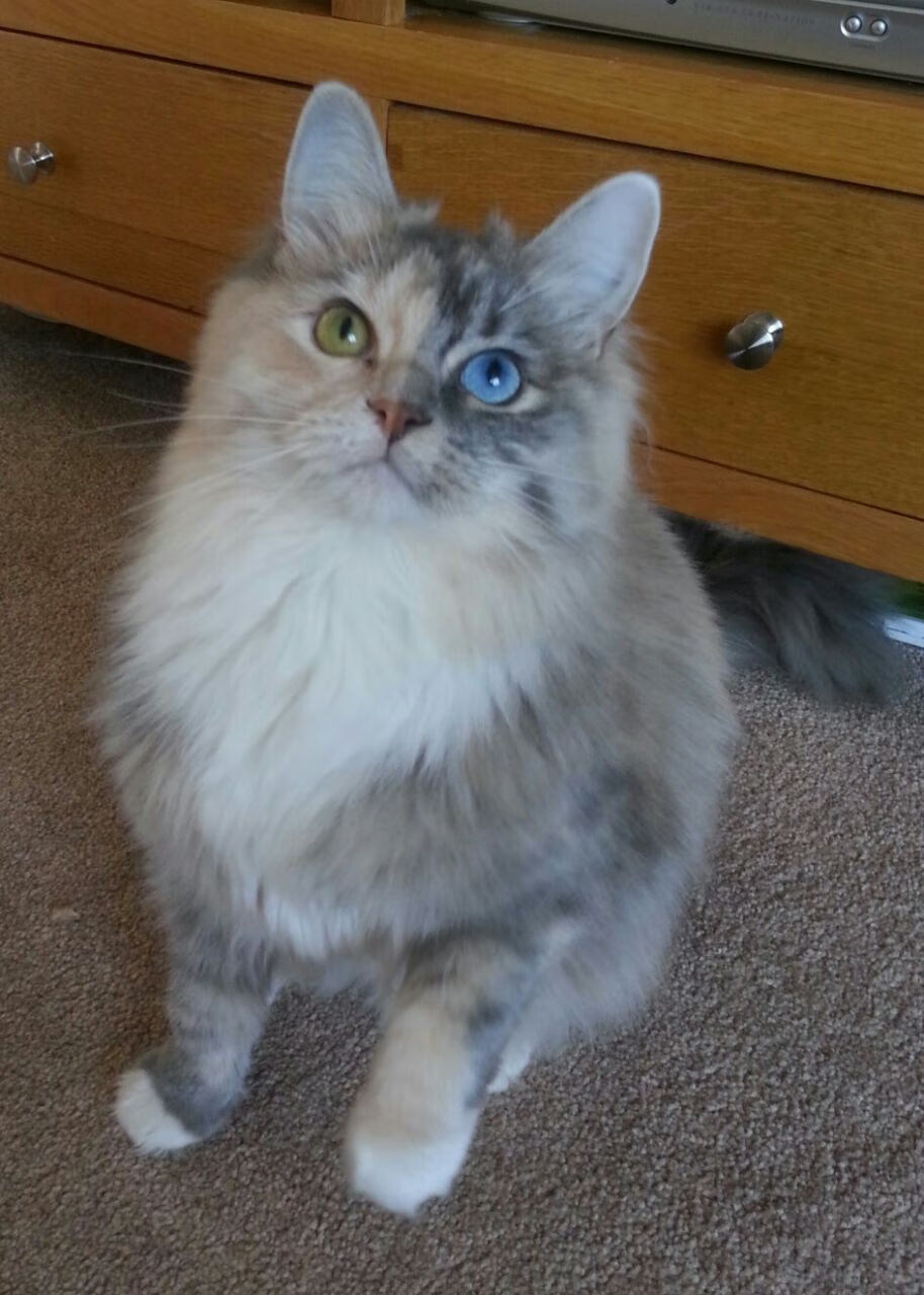 九游娱乐中心-热火替补阵容连续贡献成胜利关键，热火的阵容