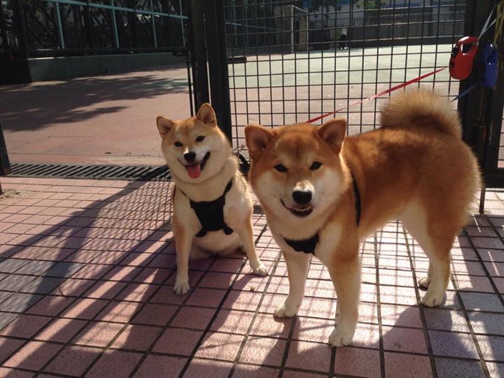 九游登录中心-西甲金靴奖金：荣耀属于最具杀手本能的人，2021西甲金靴是谁