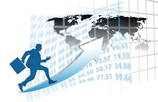 9游游戏官网-中国篮球职业联赛赛事运营管理优化研究，中国篮球竞赛体系